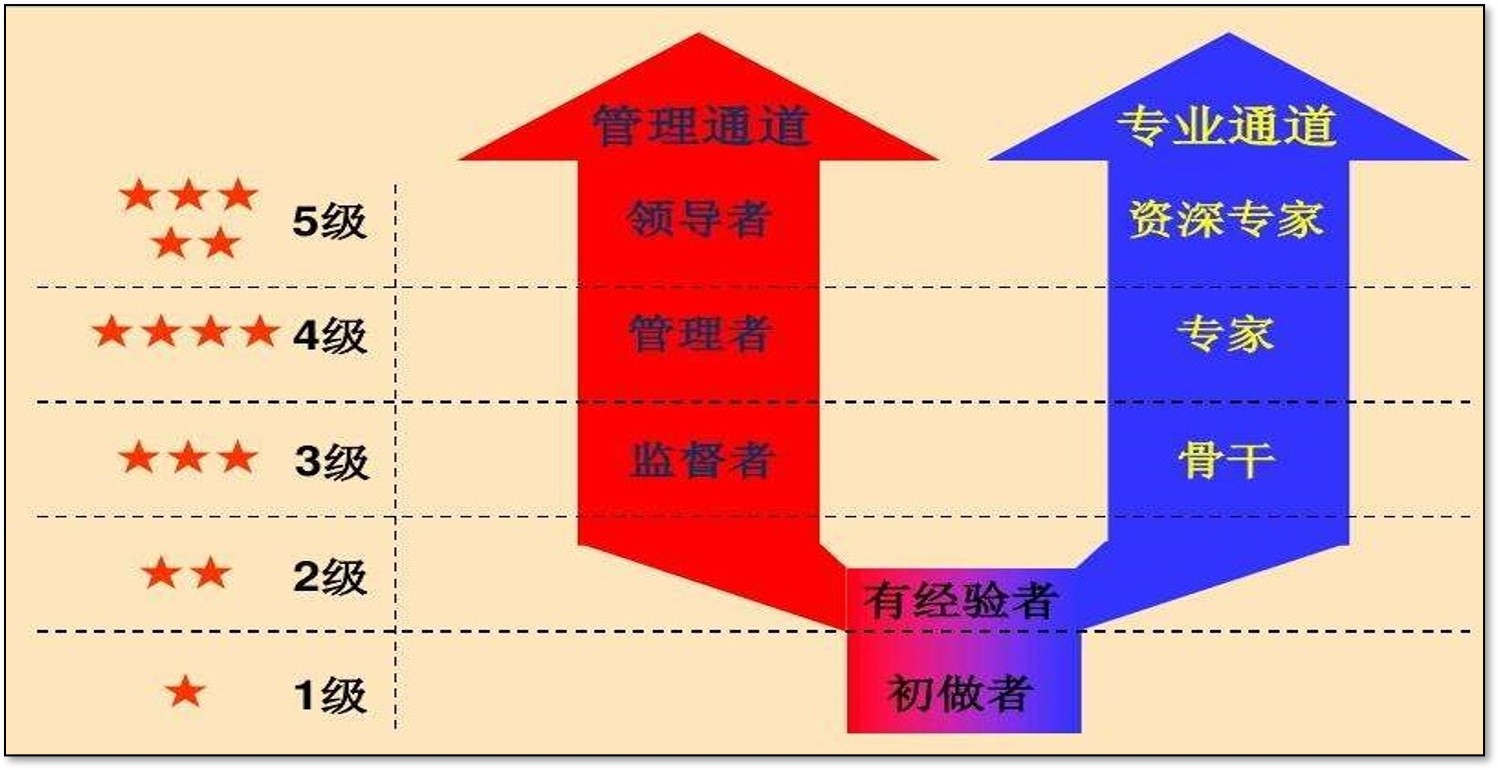 领夏技术培训学校-北极熊老师项目案例
